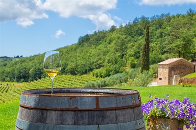 The Best Alternative Winery Destinations