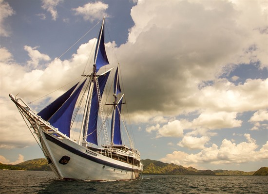 Cruise the Raja Ampat Islands