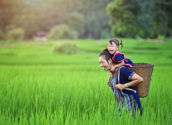 Laos For Families